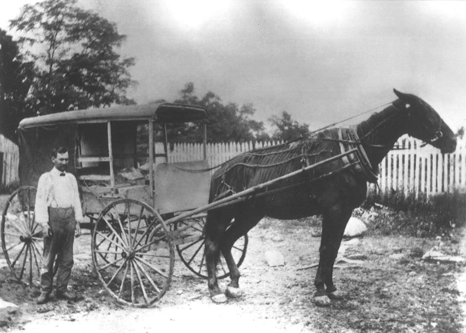 Man with Horse